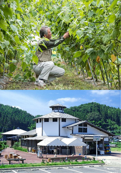 茨城県高萩市役所